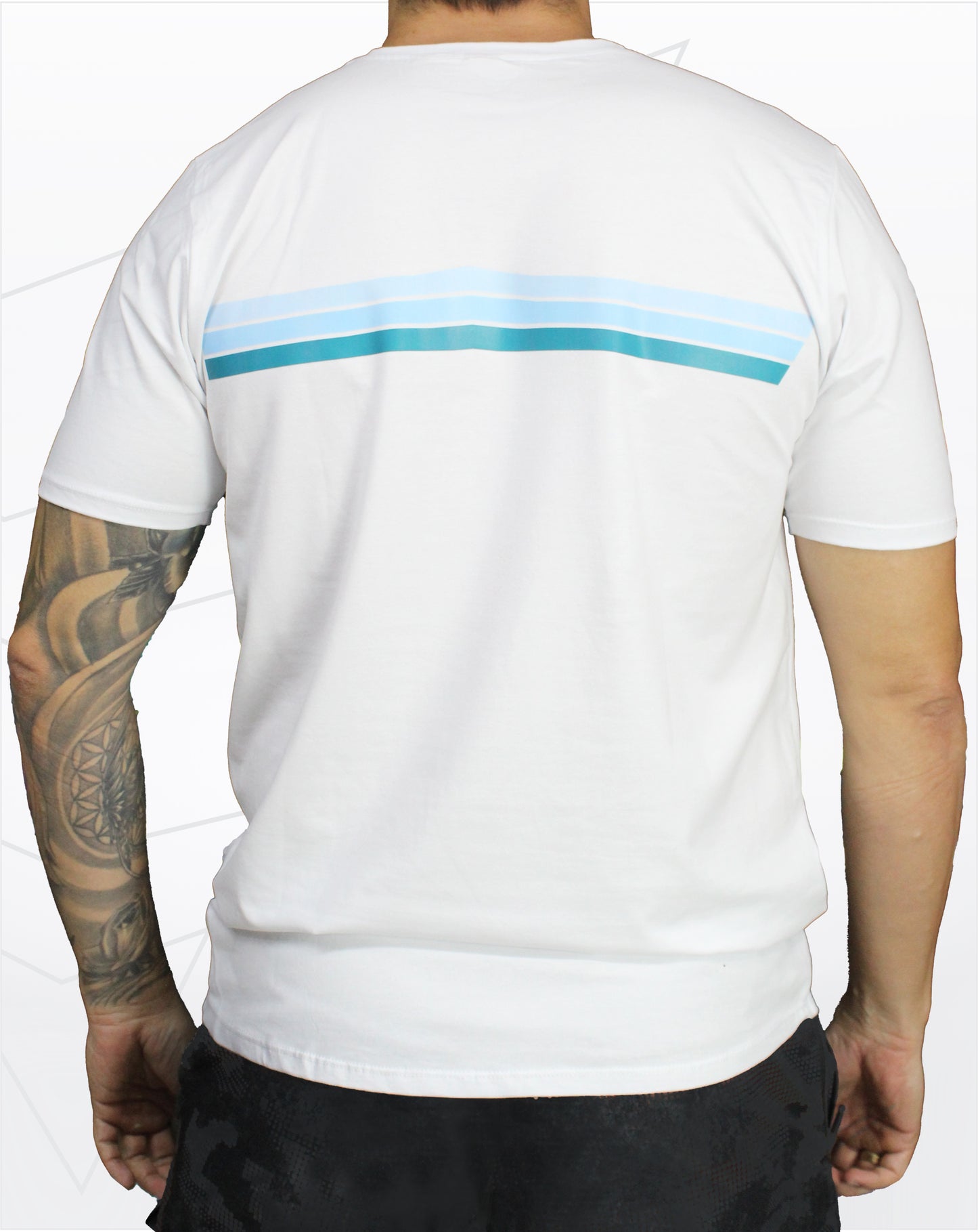 Camiseta basica (lineas)